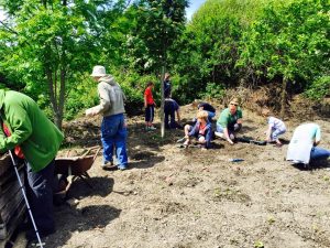 planting